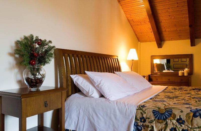Krinides Otel Kalavryta Dış mekan fotoğraf